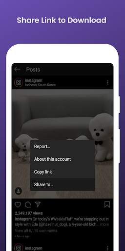 Videos Downloader for Instagram - Insta Downloader screenshot 3