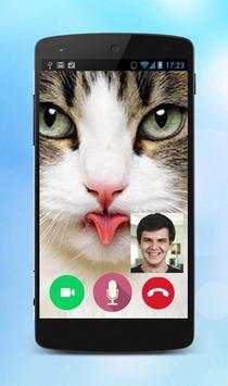Call Video Talking Cat Prank screenshot 1