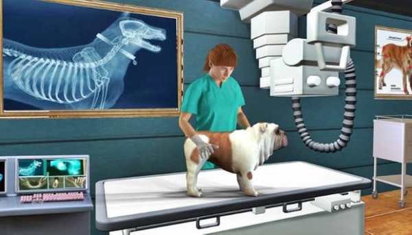 Animal Pet Hospital screenshot 1