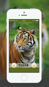 Animal & Birds Sound for kids screenshot 3