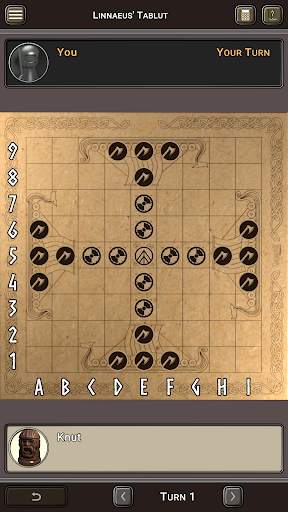 Hnefatafl screenshot 7