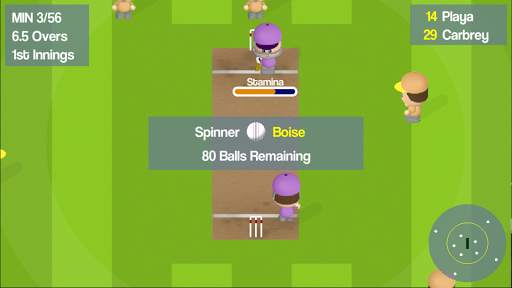 Smashtastic Cricket screenshot 1