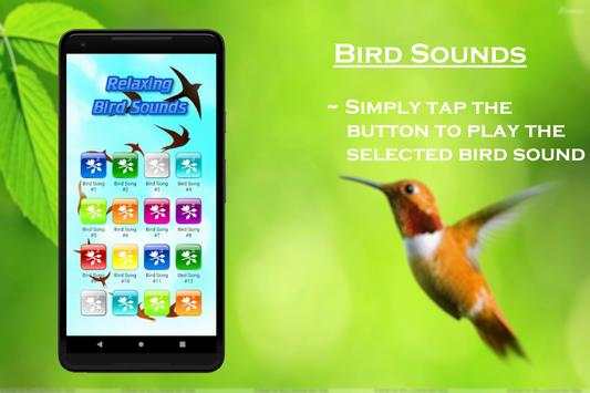 Relaxing Bird Sounds screenshot 2