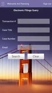 Efiling screenshot 2