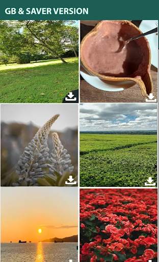 GB What App Downloader screenshot 1