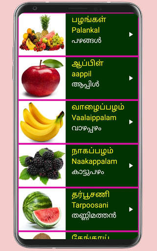 Learn Tamil From Malayalam 7 تصوير الشاشة