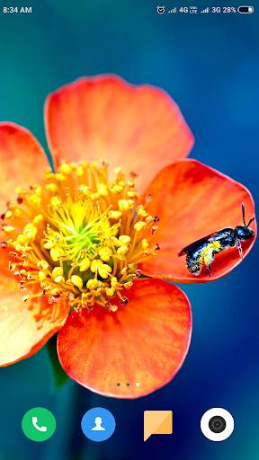 Macro Wallpaper HD screenshot 15