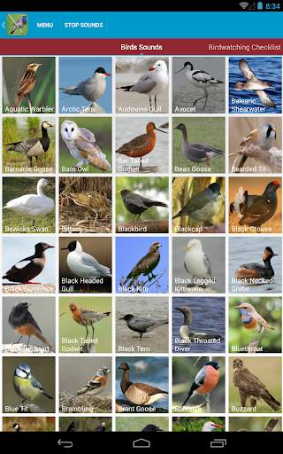 UK Birds Sounds Free स्क्रीनशॉट 10