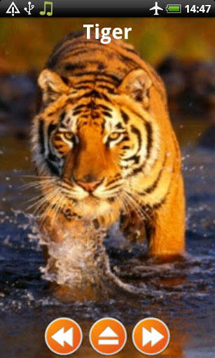 Animal Sounds Free Offline screenshot 6