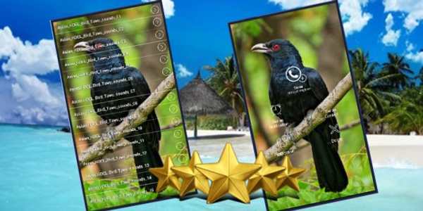 Asian Koel Bird Sounds screenshot 1