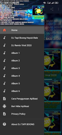 DJ Tapi Boong Hayuk Bale Bale Remix Offline screenshot 6