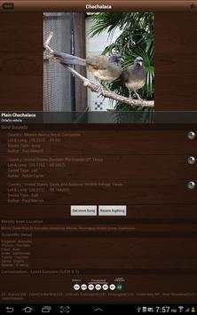 Bird Sounds, Calls, Songs & Ringtones screenshot 13