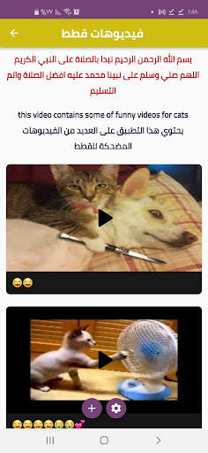 Funny’s video for cats screenshot 1