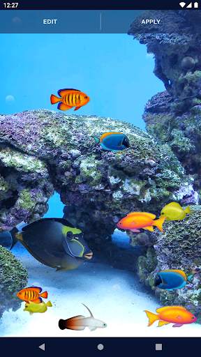 Aquarium Fish Live Wallpaper screenshot 7