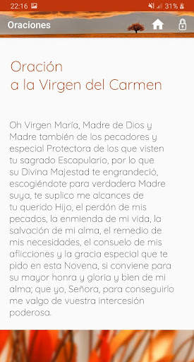 Virgen del Carmen screenshot 4