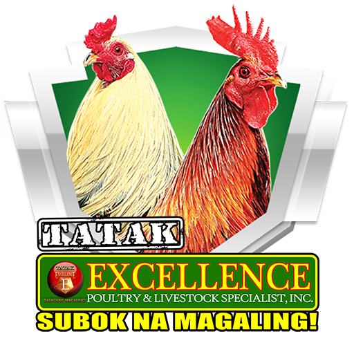 ikon Tatak Excellence