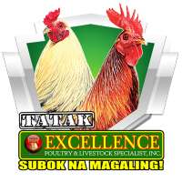 Tatak Excellence on 9Apps
