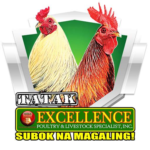 Tatak Excellence 1.0.06