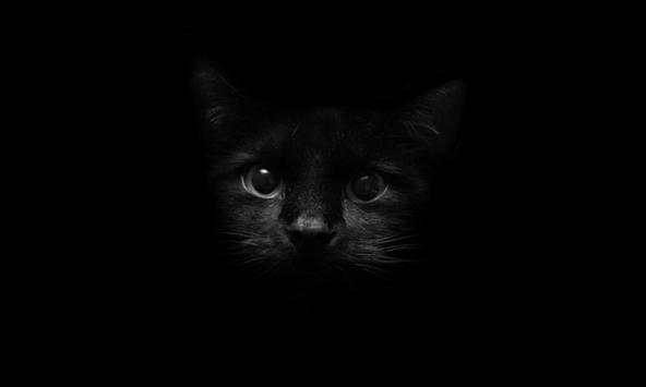 Black wallpapers screenshot 1