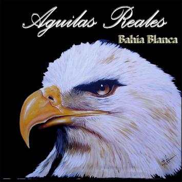 Aguilas Reales screenshot 2