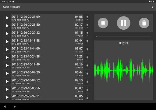 Audio Recorder (No Ads) screenshot 12