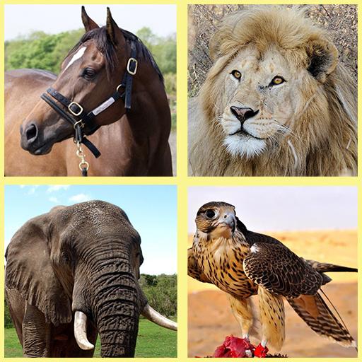 Animal Sounds - Animals for Kids icon
