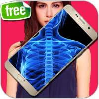 Full Body Scanner Quiz Body Scanner Application