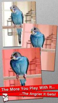 Angry Parakeet Free! स्क्रीनशॉट 2