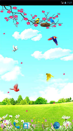 Sky Birds Live Wallpaper Free screenshot 3