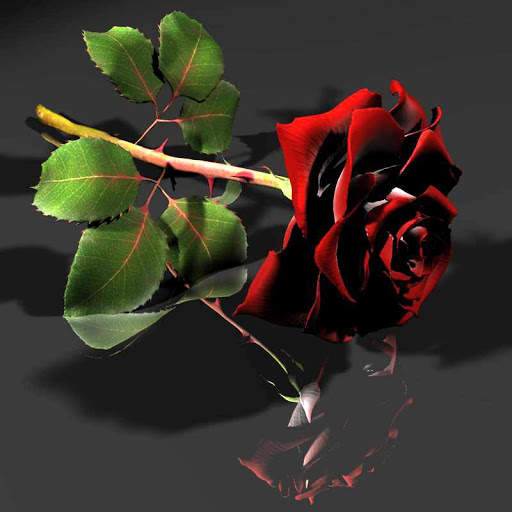 Amazing Flowers Images Gif Rose Stickers Wallpaper screenshot 3