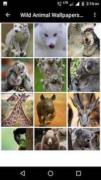 Wild Animal Wallpapers HD 3 تصوير الشاشة