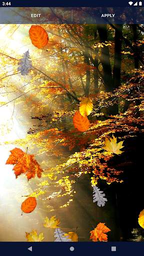 Autumn Leaves Live Wallpaper screenshot 8