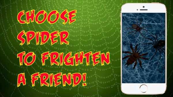 Spider Real 3D Camera Prank screenshot 2