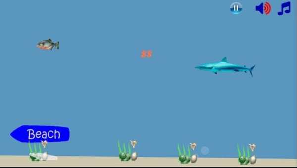 Piranha Shark Attack screenshot 6