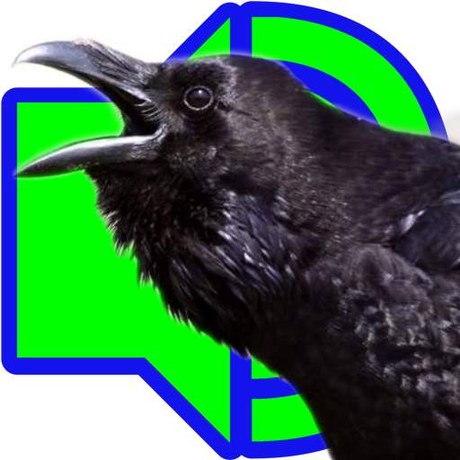 Crow Calls 2016.3.23.3