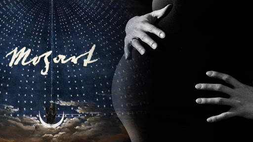PREGNANCY MUSIC COLLECTION screenshot 3