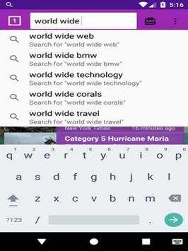 World Wide Web screenshot 6