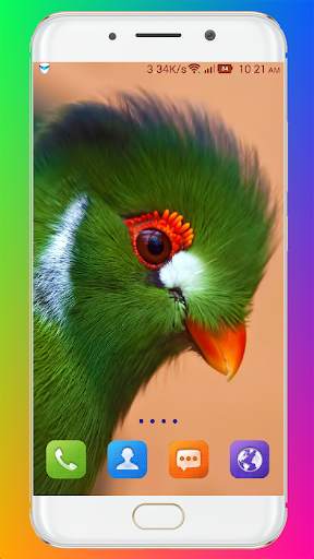 Bird Wallpaper HD screenshot 10