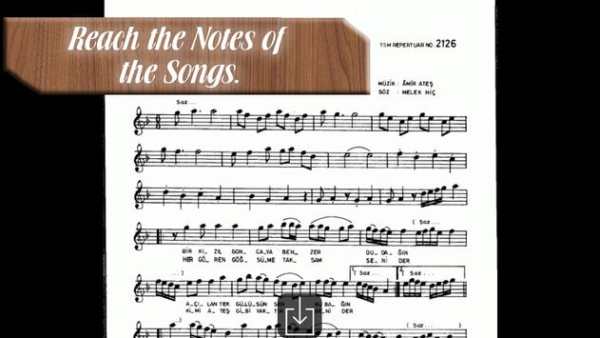 Turkish Lute(Oud) Lite screenshot 7
