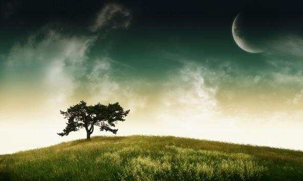 Beautiful Moon Wallpapers screenshot 2