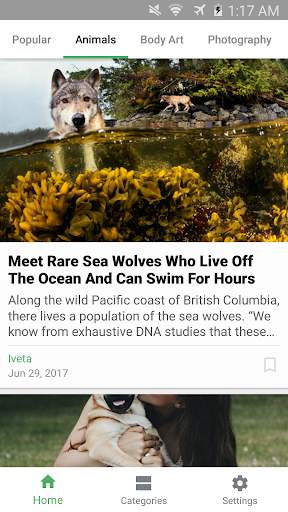 PandaFeed - RSS Reader screenshot 4