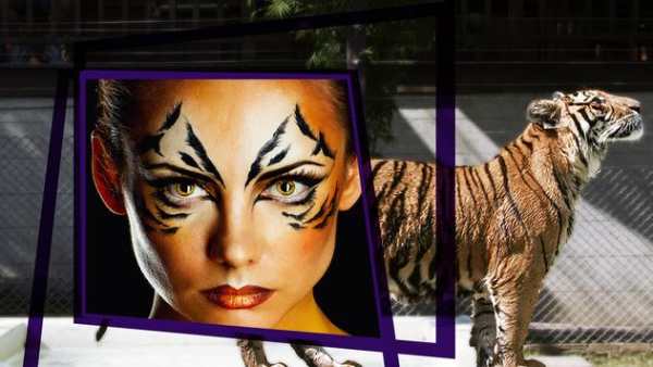 Tiger Frames For Photos screenshot 6