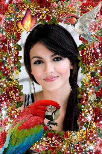 Bird Photo Frame 2022 screenshot 8
