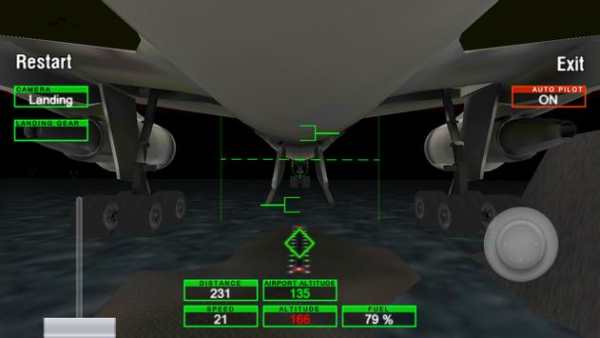 Airplane Night Flight Time Sim screenshot 3