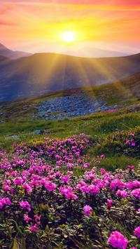 Sunrise Wallpapers screenshot 11