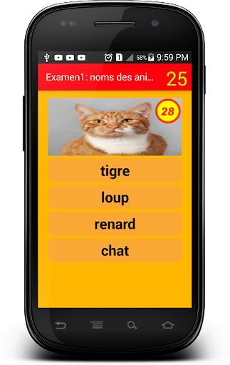 Examen 1 : noms des animaux screenshot 6