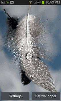 Bird Feather Live Wallpaper screenshot 1