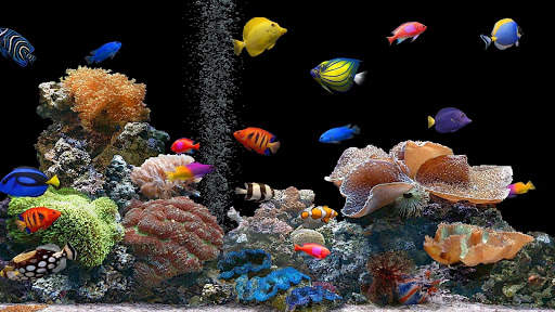 Aquarium Live Wallpaper (Wallpapers & Backgrounds) screenshot 12