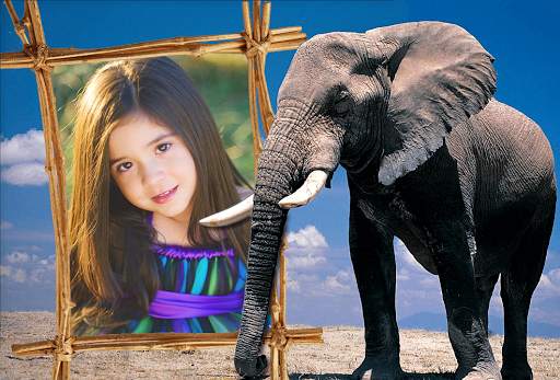 Animal Photo Frames screenshot 2