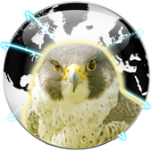 Falcon Private Browser icon